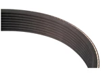 Carlisle Belts S.149122 Poly V / Multi-Rib Belt - PK Section - Belt No. 8PK3000